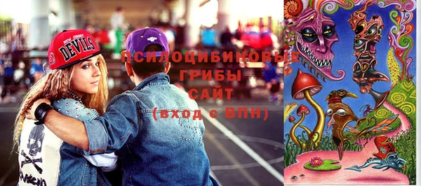 ешки Алексин