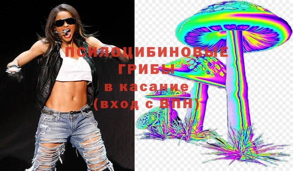 прущие грибы Алзамай