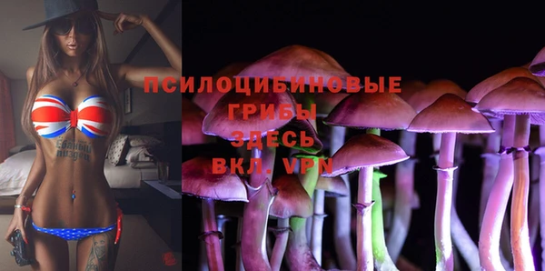 метамфетамин Алексеевка