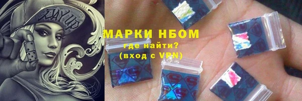 прущие грибы Алзамай