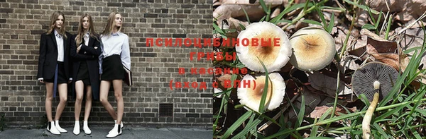 прущие грибы Алзамай