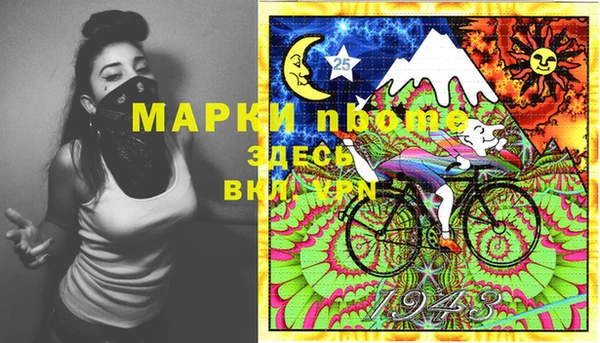 ешки Алексин