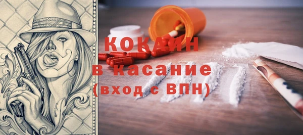 ешки Алексин