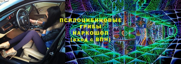 ешки Алексин