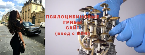 прущие грибы Алзамай